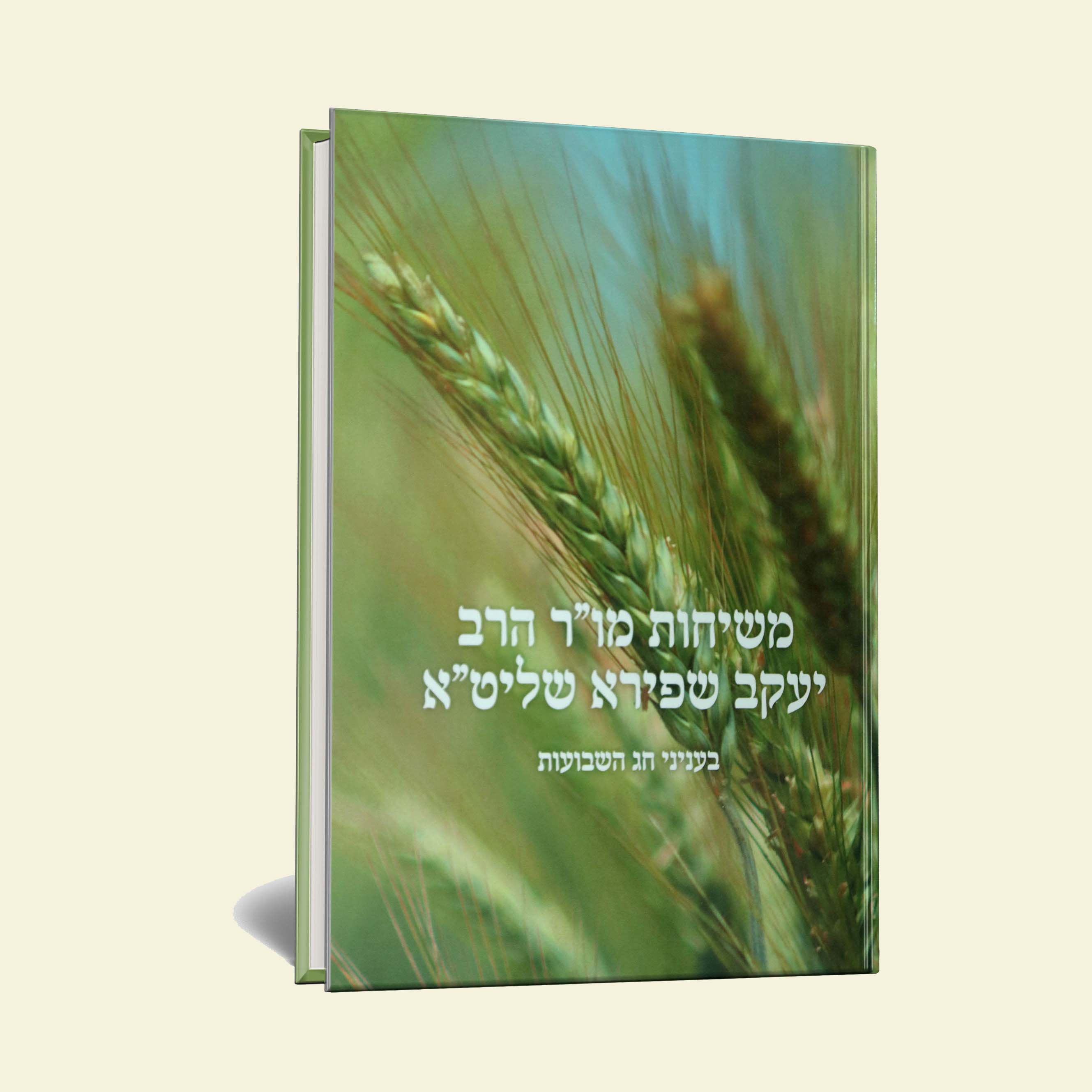 Shavuot Speech for Rosh Yeshiva Rabbi Yaakov Shapira